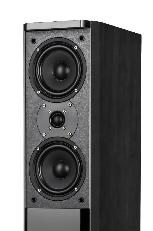 Sistem Audio Passion Negru Kruger&Matz