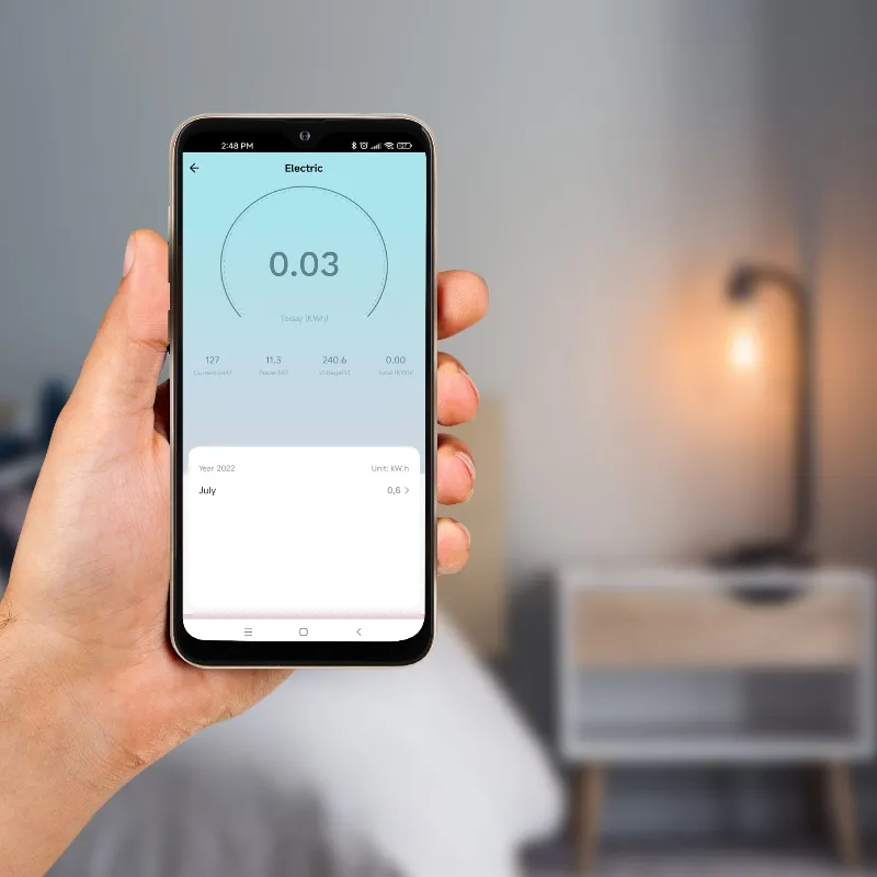 Priza Smart Wifi Connect P4 Tuya Kruger&Matz